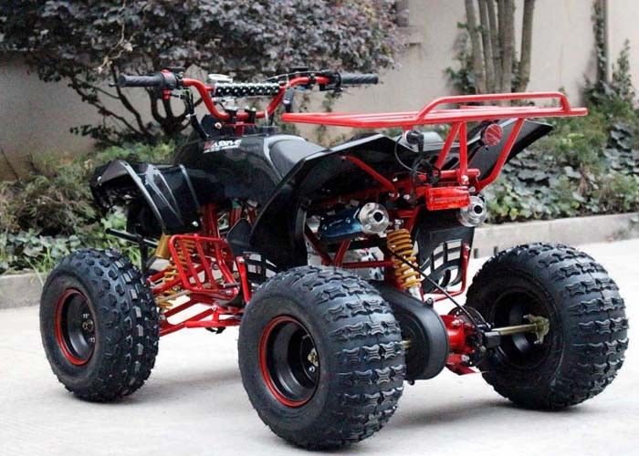 Solos coches de cuatro ruedas de la bici del patio del cilindro 125cc Atv 4 x 4 con el estante posterior/las linternas brillantes