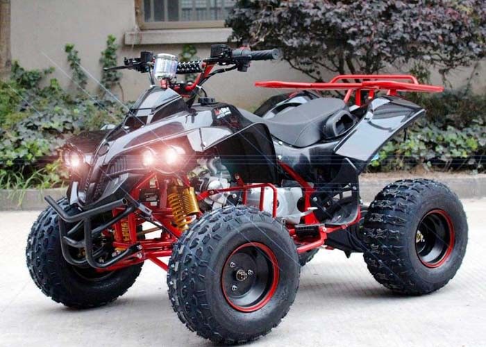 Solos coches de cuatro ruedas de la bici del patio del cilindro 125cc Atv 4 x 4 con el estante posterior/las linternas brillantes