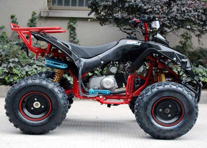 Solos coches de cuatro ruedas de la bici del patio del cilindro 125cc Atv 4 x 4 con el estante posterior/las linternas brillantes
