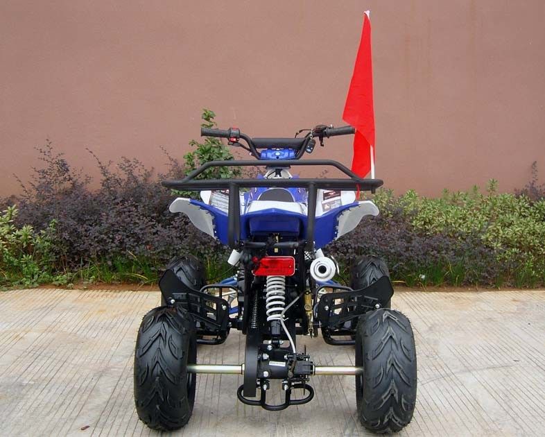 Coches de cuatro ruedas delanteros/de la parte posterior de disco del freno para los adultos, comienzo eléctrico del coche de cuatro ruedas 110cc