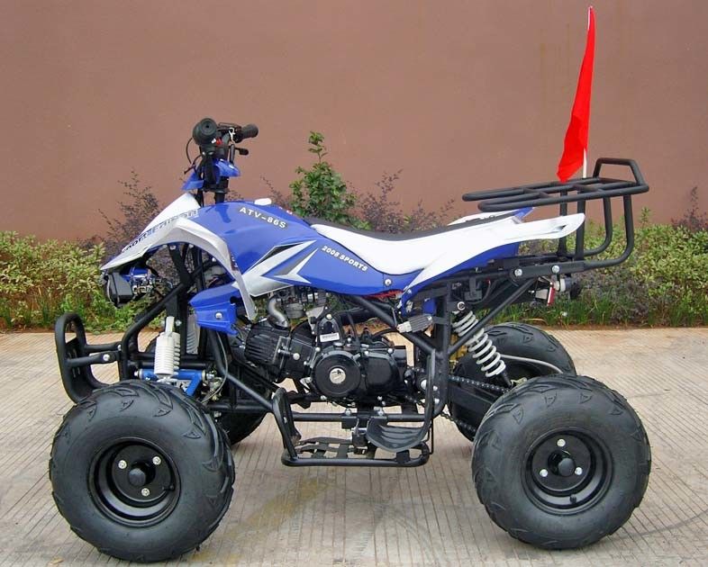 Coches de cuatro ruedas delanteros/de la parte posterior de disco del freno para los adultos, comienzo eléctrico del coche de cuatro ruedas 110cc