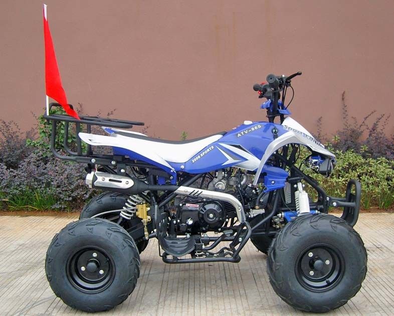 Coches de cuatro ruedas delanteros/de la parte posterior de disco del freno para los adultos, comienzo eléctrico del coche de cuatro ruedas 110cc