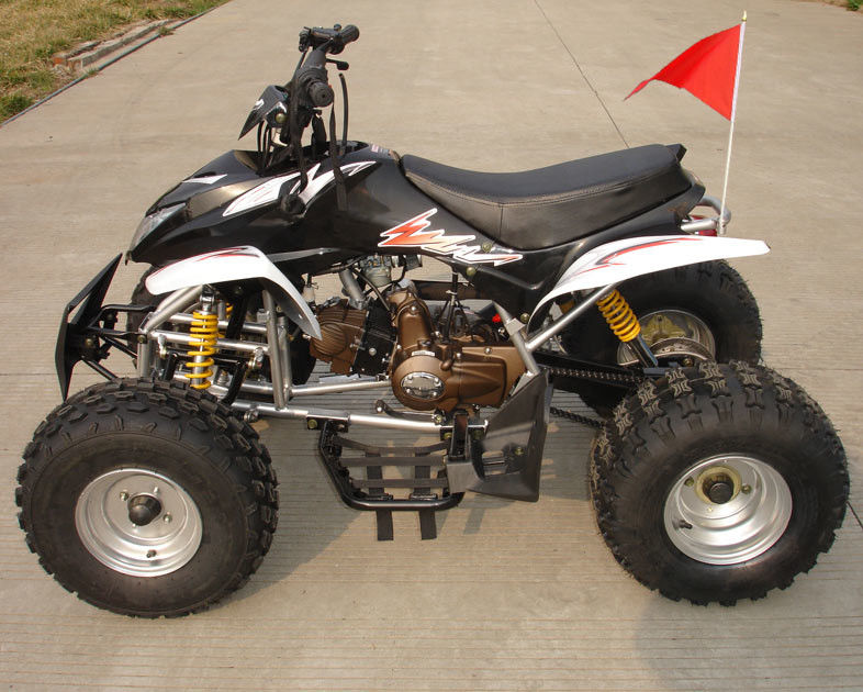 ATV de cuatro ruedas de tamaño mediano 110cc completamente automático con el freno de tambor doble delantero reverso