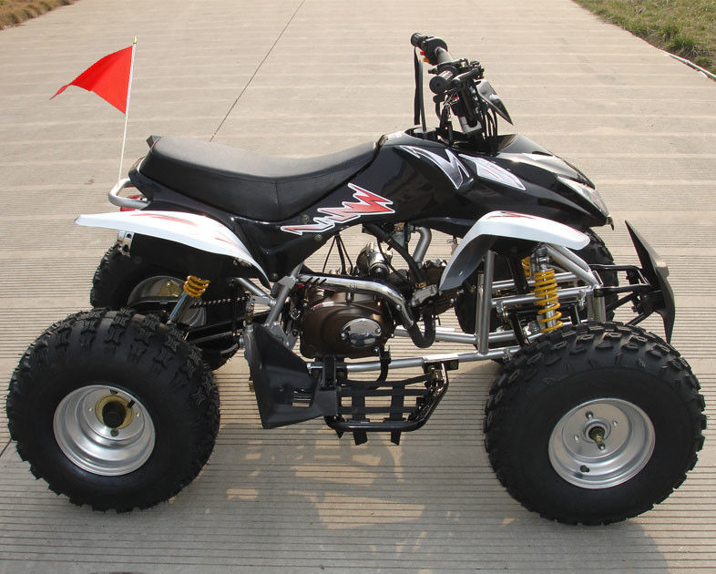 ATV de cuatro ruedas de tamaño mediano 110cc completamente automático con el freno de tambor doble delantero reverso