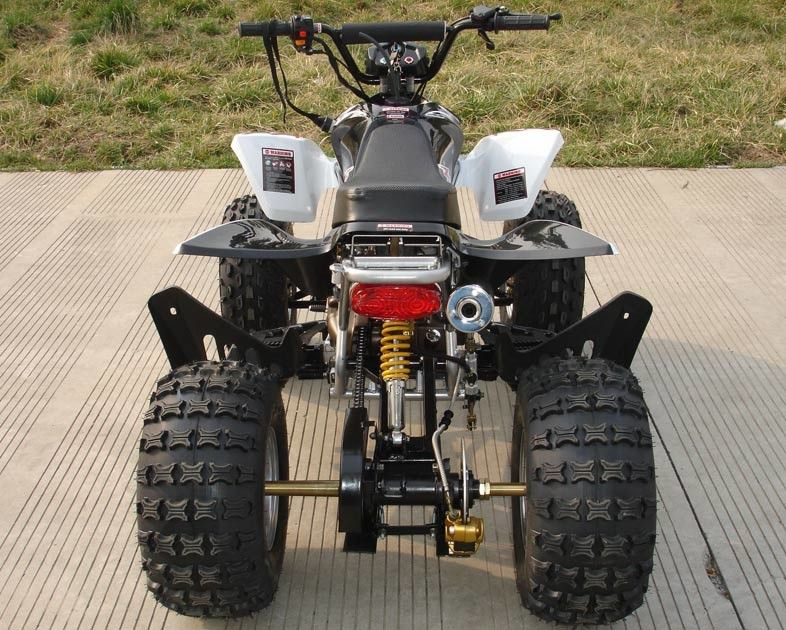 ATV de cuatro ruedas de tamaño mediano 110cc completamente automático con el freno de tambor doble delantero reverso
