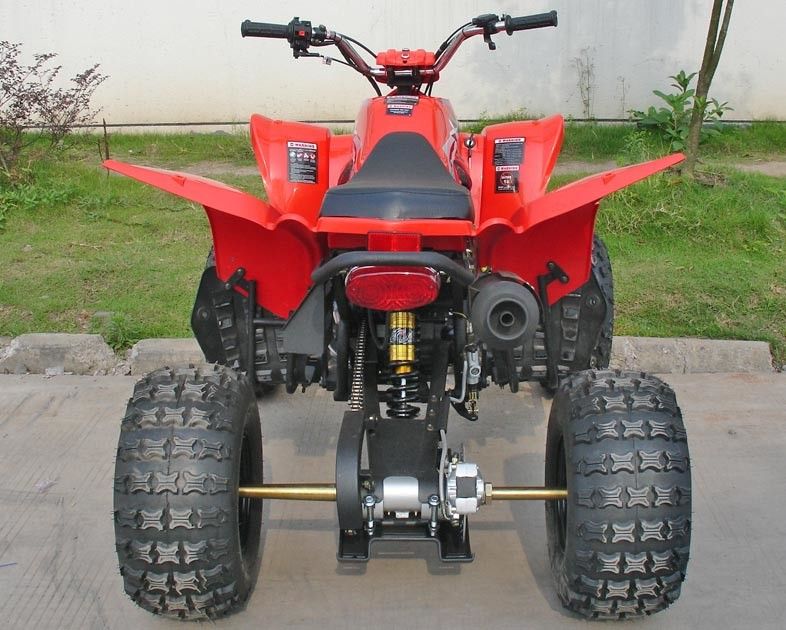 250CC vehículos utilitarios rojos ATV 8