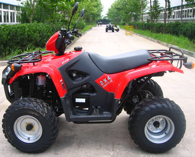 Juventud refrigerada por aire Atv que compite con 260cc con la marcha atrás/la caja de engranajes de gran tamaño del interior