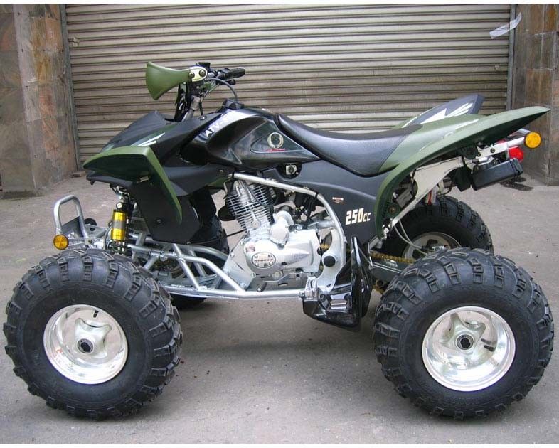 Juventud de la extra grande que compite con el embrague eléctrico del manual del comienzo del CDI de la bici del patio de Atv 250cc Atv