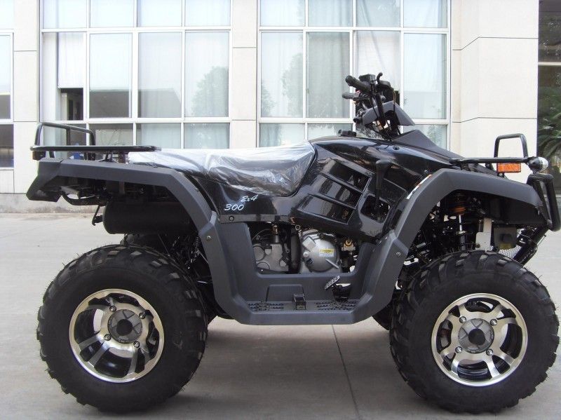 300CC vehículo utilitario Atv 40.3mile/H con 2 asientos, Uno-brazo doble/solo Uno-brazo