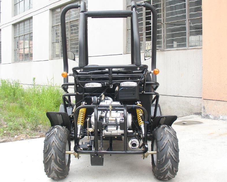 Kart con errores/adulto del kart de SAMLL 110cc de Off Road con el doble Seat ajustable