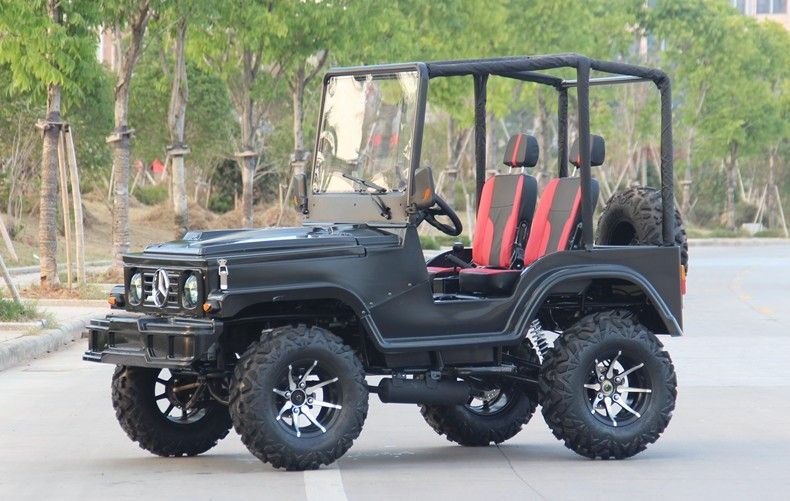 Mini jeep 4WD que compite con el cochecillo del kart de los deportes de ATV para el adulto, kart 300cc