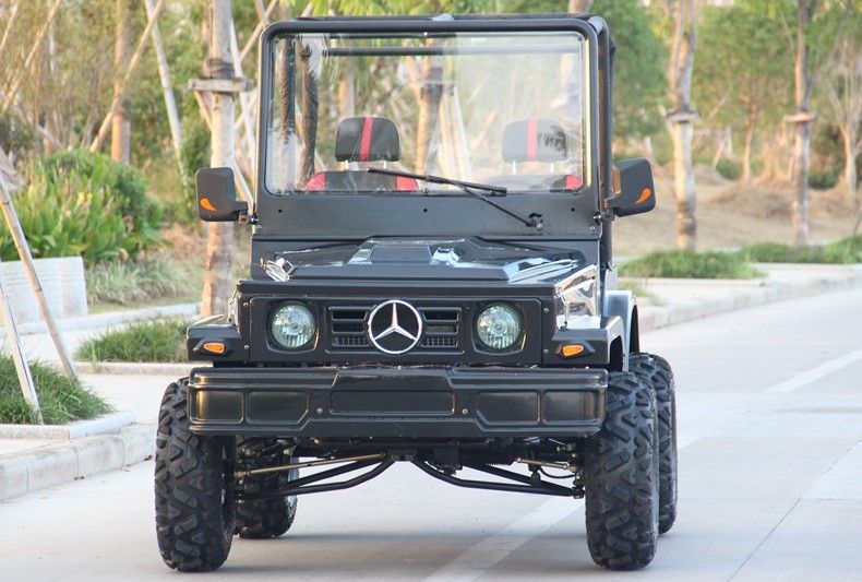 Mini jeep 4WD que compite con el cochecillo del kart de los deportes de ATV para el adulto, kart 300cc