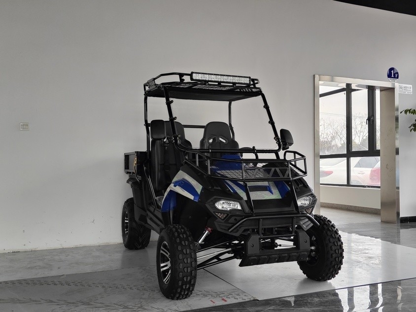 Vehículos utilitarios de gas 200EUX (EFI) Utv CTV automático con retroceso hacia abajo 32 grados