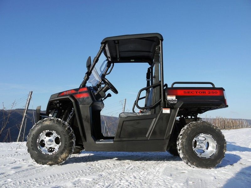 Vehículos utilitarios inclinables del gas del torno del cargador de UTV 250 con Efi - rojo, Windsheild y barra de remolque
