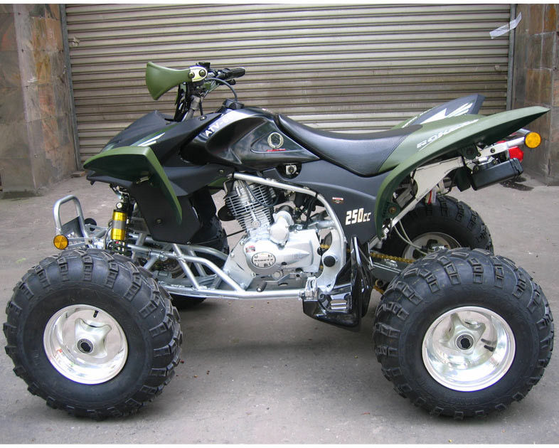 Juventud ATV que compite con, velocidad máxima 46.6mile/h del camino forestal 250cc de la granja y