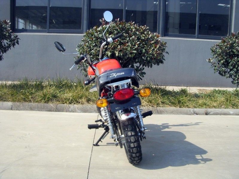 4-Gear motocicleta internacional del motor 125cc para los adultos con el rodamiento de rodillos