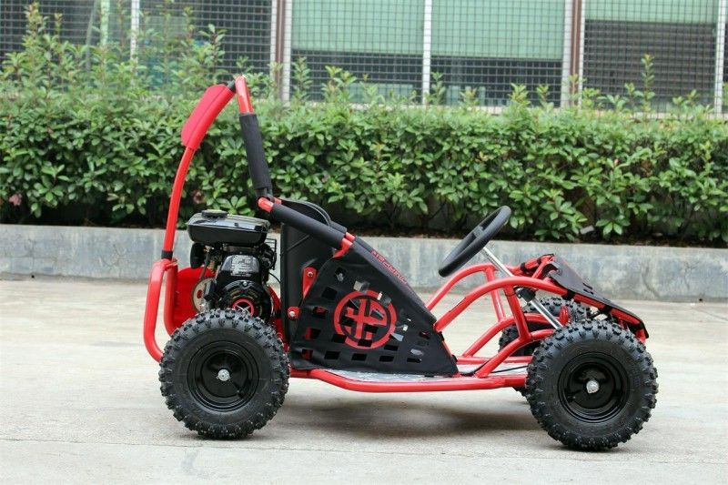 80cc embroma el kart de Off Road, kart para dos personas máximo EPA de la velocidad 45km/H aprobado