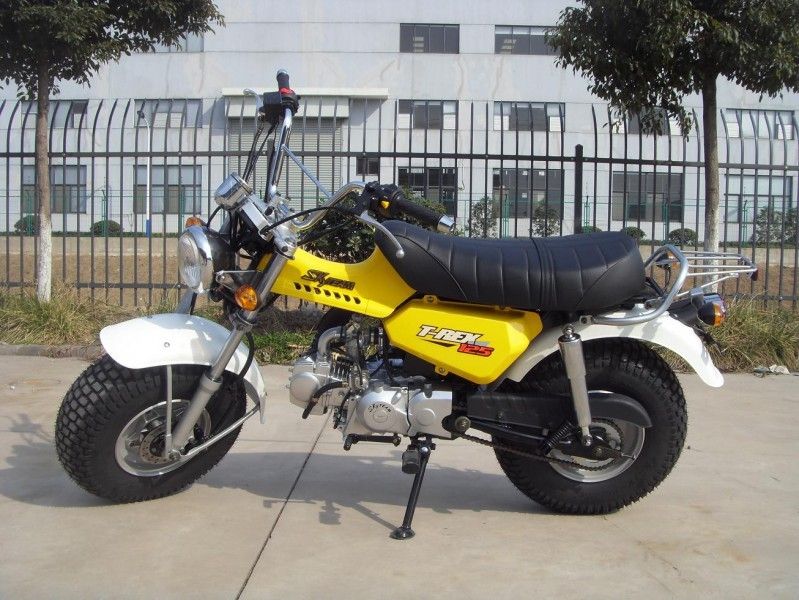 Skyteam T - mini bici 125cc, motocicleta de Rex 125 de 2 personas con el engranaje de 4 velocidades