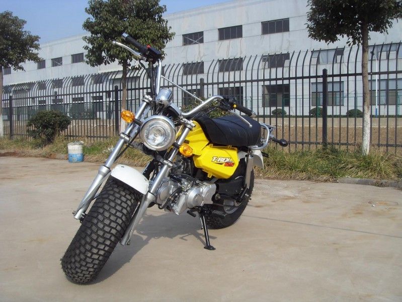 Skyteam T - mini bici 125cc, motocicleta de Rex 125 de 2 personas con el engranaje de 4 velocidades