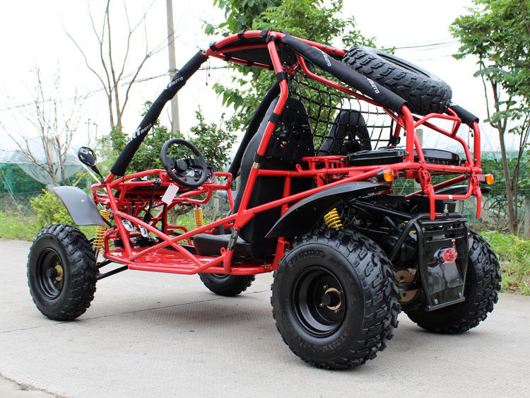 El camino 10L de la montaña escoge el cochecillo del kart del cilindro con el freno de disco delantero y trasero