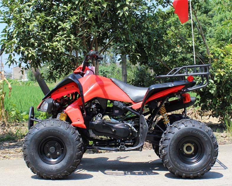 juventud refrigerada por agua 13.9HP que compite con el policía motorizado de ATV 200cc 4 con el freno de disco posterior