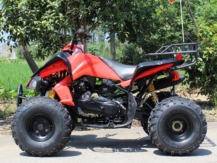 200cc ATV de cuatro ruedas, 8