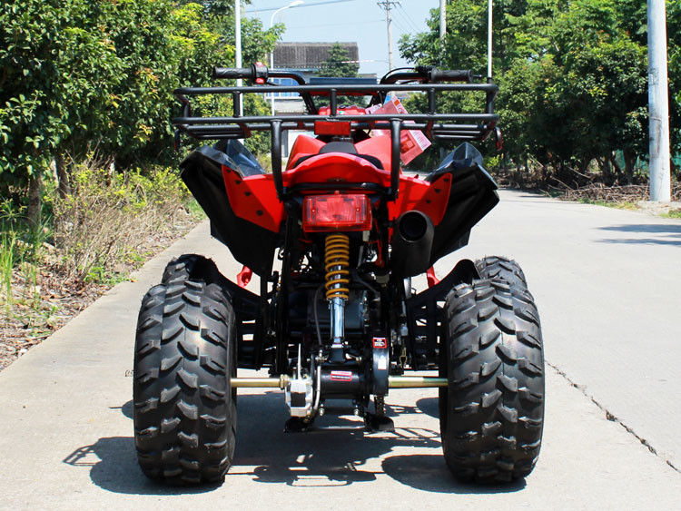 200cc ATV de cuatro ruedas, 8