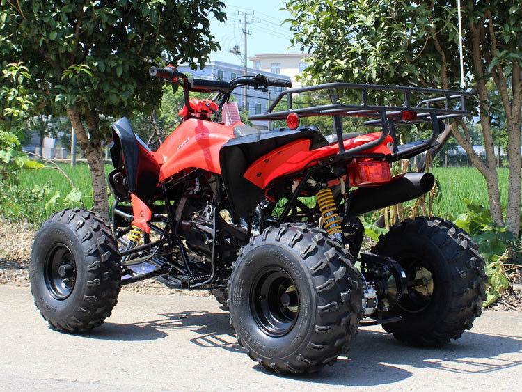 200cc ATV de cuatro ruedas, 8