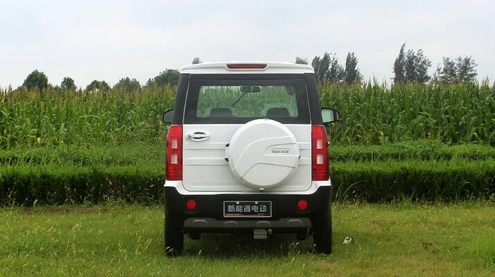 Cuatro talla 1500w eléctricas de los carros de golf de las ruedas mini con sobre la gama de los 500km
