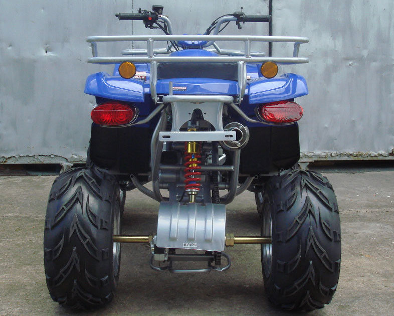 Bici automática de gran tamaño 10