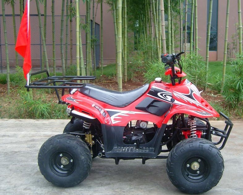 Alto rendimiento del brazo oscilante 70cc ATV del patio del cargamento máximo doble delantero de la bici 80KG