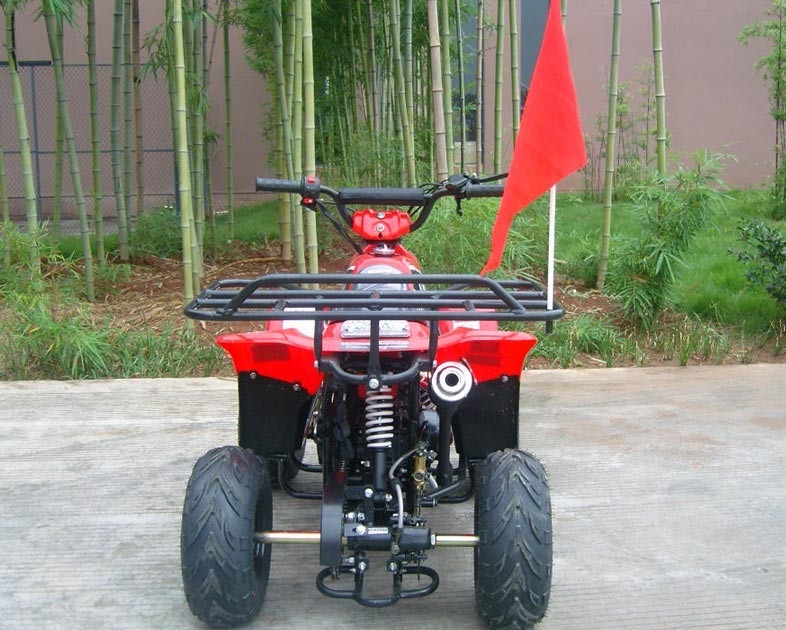 Alto rendimiento del brazo oscilante 70cc ATV del patio del cargamento máximo doble delantero de la bici 80KG