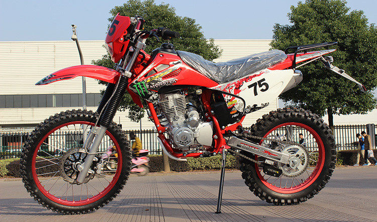 La suciedad de gas del CDI Lgnition Bikes 150cc el mini tipo peso de carga de 150KG