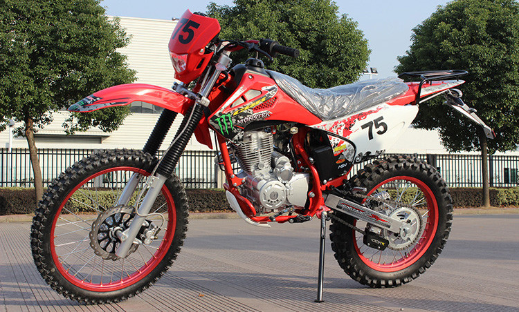 La suciedad de gas del CDI Lgnition Bikes 150cc el mini tipo peso de carga de 150KG