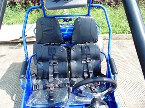 Ignición 17,4 del CDI de 2,25 galones HP 300cc CVT EFI Go Kart Buggy