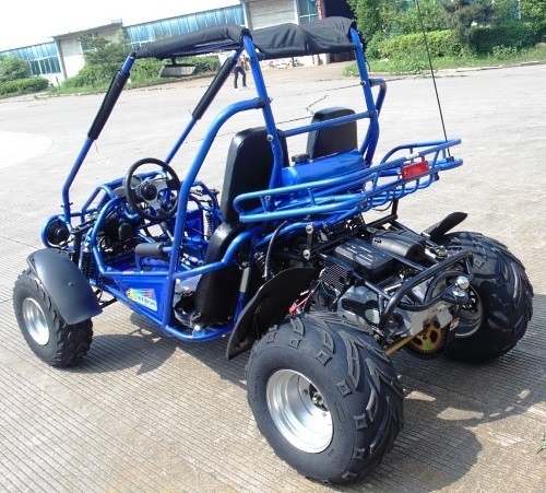 Ignición 17,4 del CDI de 2,25 galones HP 300cc CVT EFI Go Kart Buggy