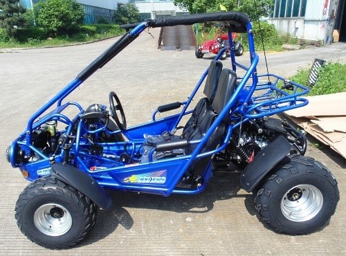 Ignición 17,4 del CDI de 2,25 galones HP 300cc CVT EFI Go Kart Buggy