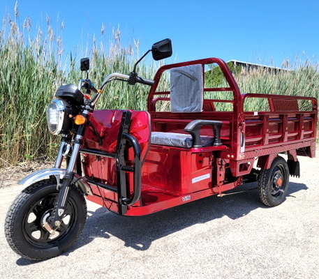 Camión eléctrico del cargo 1000 vespa motorizada vatio de la bicicleta de la rueda del ciclomotor 3